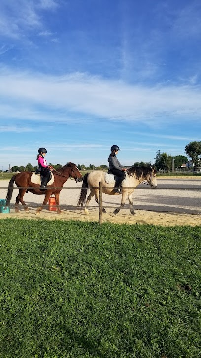 Ecurie des Muriers, Centre Equestres à Lapeyrouse-Fossat