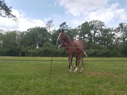 Equestrian Center Des Rucherons, Centre Equestres à Marsannay-le-Bois