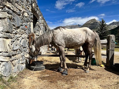 Equestrian Center Du Gorray, Centre Equestres à Val-d'Isère