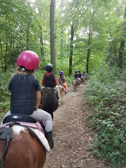 Ecurie De Waltera, Centre Equestres à Flipou