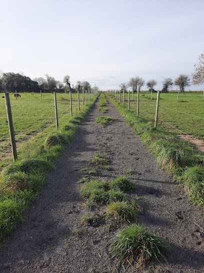 Écurie Spinétoise, Pension pour Chevaux à Lépine
