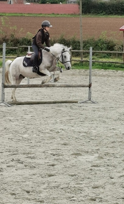 ECURIE ST WAAST, Centre Equestres à Monceau-Saint-Waast