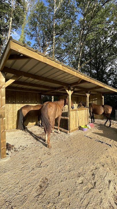 Les Écuries De La Fée Bleue, Pension Pour Chevaux à Coly-Saint-Amand