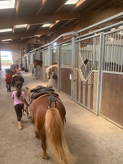 Ecurie Ace De Pic, Centre Equestres à Maulette