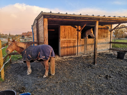 Les Écuries Du Plantin Pension Pour Chevaux à Saint-Martin-de-Bonfossé