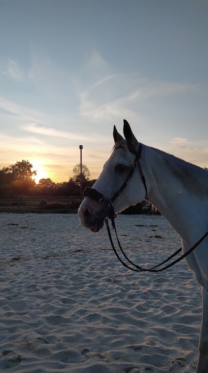 Centre équestre Equitemerveille, Centre Equestres aux Rairies