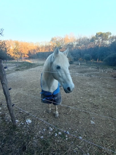 Les Ecuries De Trouillas, Centre Equestres à Rousson