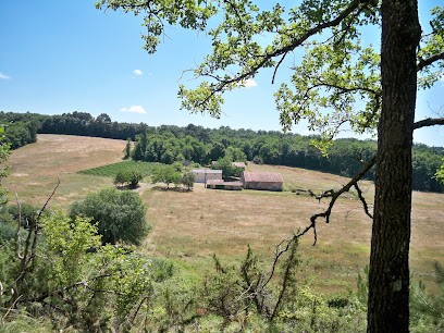 Pension pour chevaux-Éducation du cheval-Enseignement en Dordogne/EARL VARENAS, Pension pour Chevaux à Grignols