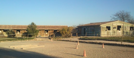 FERME EQUESTRE LES FARFADETS LAURET, Pension pour Chevaux à Lauret