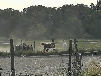 ECURIE PONEY CLUB DU GRAND BOIS, Centre Equestres à Fontenilles