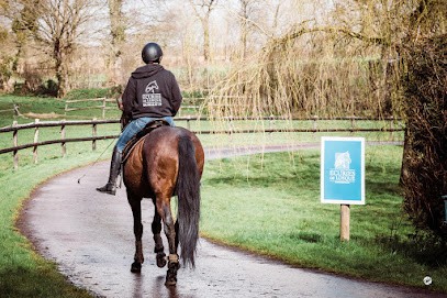 Ecuries De Losque By Epona Massage Equin, Pension pour Chevaux à Amigny