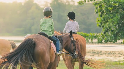 Equestrian Center De L'espérance, Centre Equestres à Rabastens-de-Bigorre