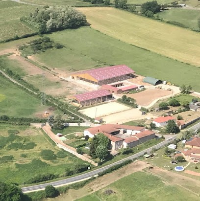 Haras D’Orcé, Pension pour Chevaux à Lozanne
