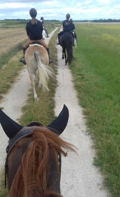 Ecurie De La Collinière, Centre Equestres à Cheverny