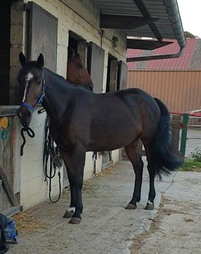 La Criniere, Centre Equestres à Vémars