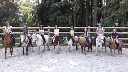 Ecurie De Kerbotin, Centre Equestres à Saint-Avé