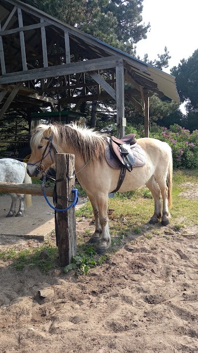 Les Cavaliers De Bel Air, Centre Equestres à Gouville sur Mer