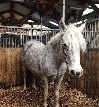 CENTRE EQUESTRE BASE LOISIRS DE JABLINES, Centre Equestres à Jablines