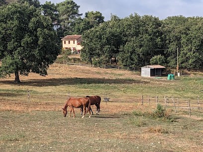 Ecuries De La Bancalié, Pension pour Chevaux à Técou