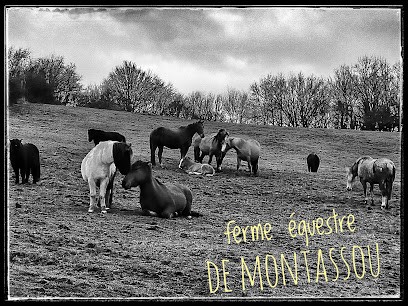 Horse Farm De Montassou, Centre Equestres à Ydes