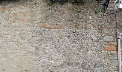 Cliton Didier, Pension pour Chevaux à Chazay-d'Azergues