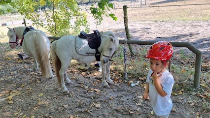 Vauthier Marie-José, Centre Equestres à Lit-et-Mixe