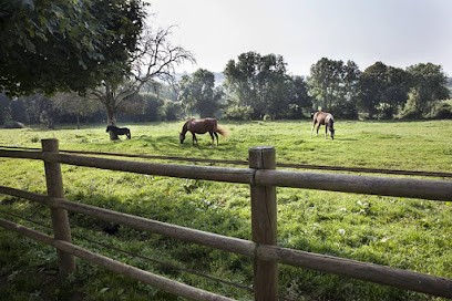 Haras du Maupas, Pension pour Chevaux à Champ-Haut
