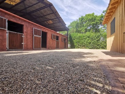 Balnéothérapie équine Lyon - Centre De Remise En Forme Pour Chevaux - EQUI HARMONIA, Pension pour Chevaux à Miribel
