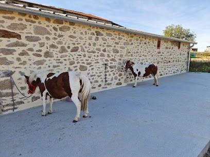 les écuries de la barbère, Pension pour Chevaux à La Chapelle-Saint-Laurent