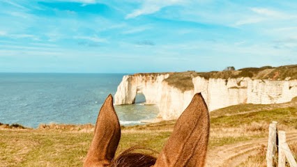 Area Equestrian Étretat, Centre Equestres au Tilleul