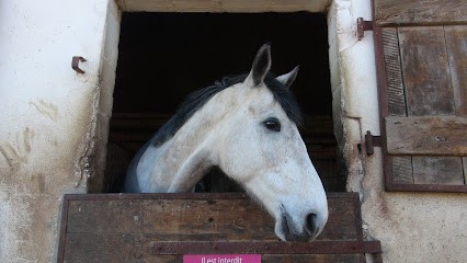 CAVALIERS DE BIRLENBACH, Centre Equestres à Drachenbronn-Birlenbach