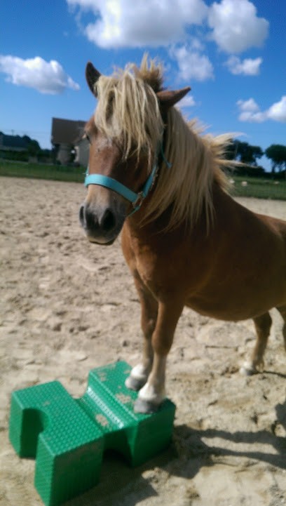 Leblond Pierre, Pension pour Chevaux à Saint-Sauveur-d'Émalleville