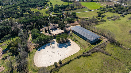 Le Domaine De La Flamme Bleue Centre Équestre à Roquebrune-sur-Argens