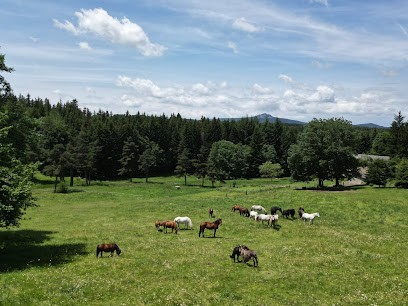 Pray D Aunay Riding, Centre Equestres au Chambon-sur-Lignon