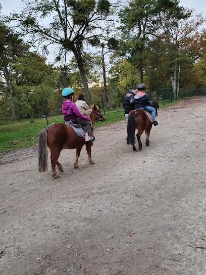 ECURIES DE L OREE DU BOIS, Centre Equestres à Prouilly