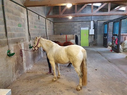 Écuries Des Maffrais, Centre Equestres à Thorigné-Fouillard