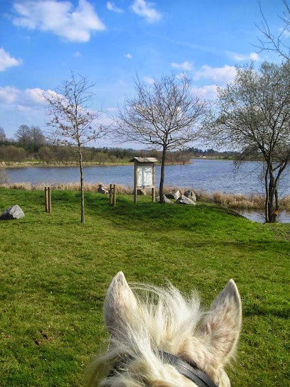 Equestrian Center Du Barrage De Lavaud, Centre Equestres à Chirac