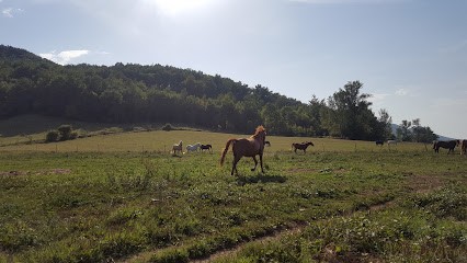 Les Balades Du Conté, Centre Equestres à Saint-Michel