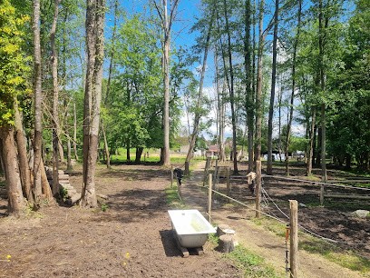Les Ecuries D'Océdam, Centre Equestres à Verlin