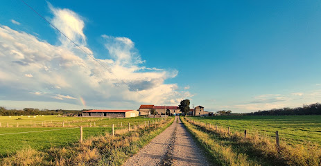 Eb Ranch, Pension Pour Chevaux à Frizon