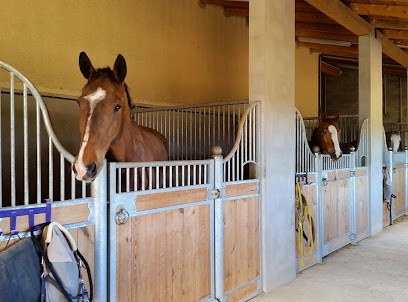 Les Écuries du Golfe, Centre Equestres à Montagnac