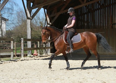 Stud Du Souzan, Centre Equestres à Saint-André-le-Gaz