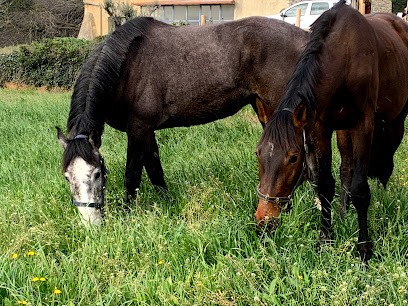 Écuries du raidillon, Centre Equestres à Saint-Restitut