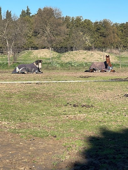 Ecurie De La Baronnerie, Centre Equestres à Lamanon