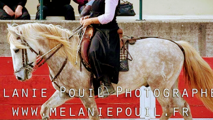 Aettc Les Chevaux De Carreau, Centre Équestre à Vauvert