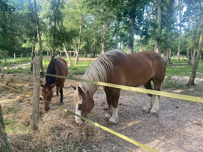 VILLAGE EQUESTRE DE POUL AR GAST, Centre Equestres à Pléguien