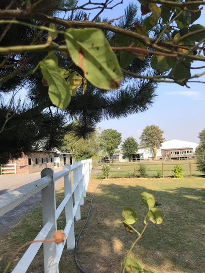 Écurie du manoir, Centre Equestres à Gavrelle