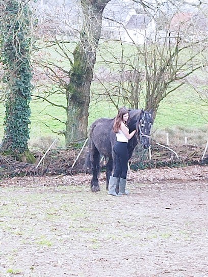 A J Bubear Saddlery, Magasin de Matériel d'Equitation à Noues de Sienne