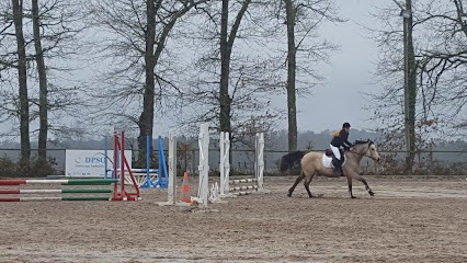 Les Écuries De St Selve, Centre Equestres à Saint-Selve