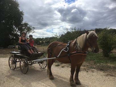 Ferme Equestre Naturelle Des Grillaults, Centre Equestres à La Roche-Posay